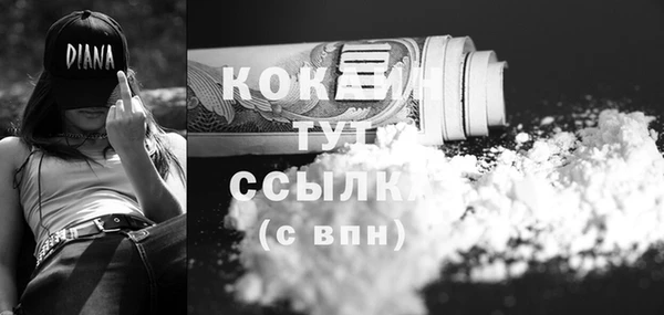 стафф Каменногорск
