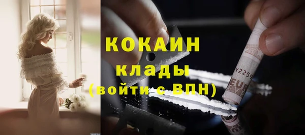 Альфа ПВП Инсар