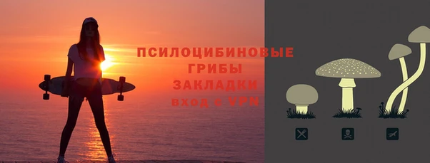 молекула духа Касимов