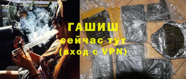 Альфа ПВП Инсар