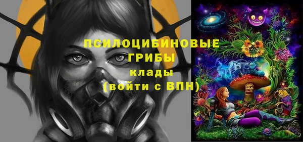 мдпв Инта