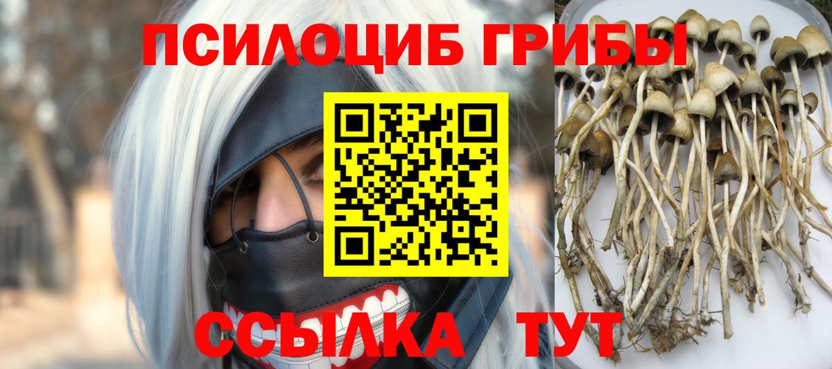 Галлюциногенные грибы GOLDEN TEACHER Киржач