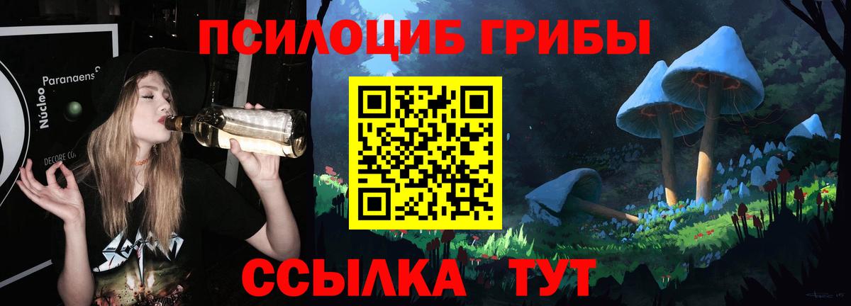 Киржач  Псилоцибиновые грибы Psilocybine cubensis  Вход с VPN 